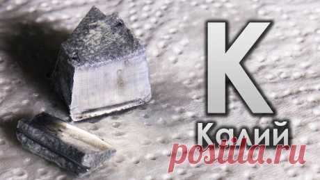 Калий (K, Kalium) | | Кухня Кухня Калий был открыт осенью 1807 года английским химиком Дэви при электролизе твёрдого едкого кали. Увлажнив едкий кали, ученый выделил металл, которому дал название потассий, намекая на