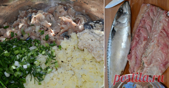 Как получить тридцать котлет из одной скумбрии Пюре обязательно должно быть свежим.