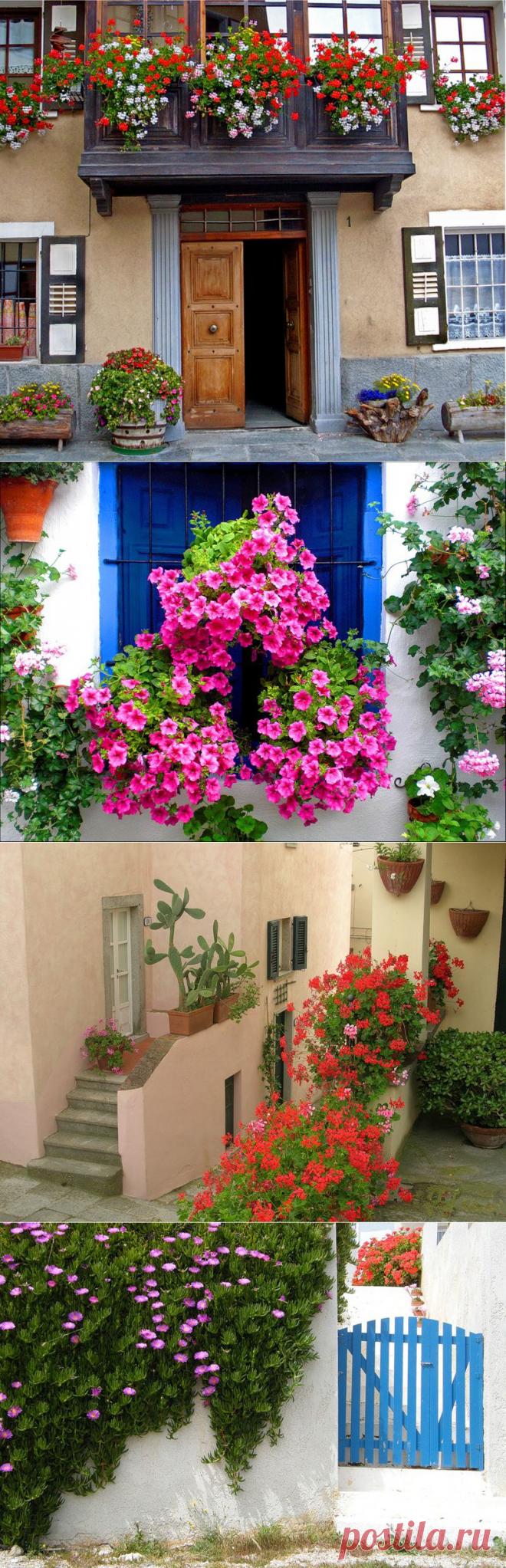 Весеннее настроение: дома в цветах | ПолонСил.ру - социальная сеть здоровья