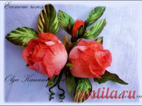 Роза экономичная. Часть 1
