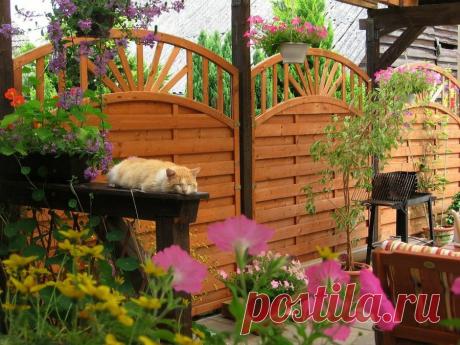 calendario adviento 2019 - Buscar con Google