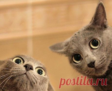 Не... на кухню пока рано.... они еще не спят....
