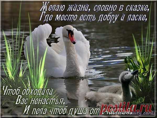 Интересные новости