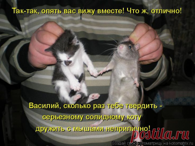 Я не люблю доступных женщин - Позитив для оптимистов - медиаплатформа МирТесен