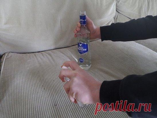 Она распылила водку по всему автомобилю. Смотри, что произошло через 5 минут.