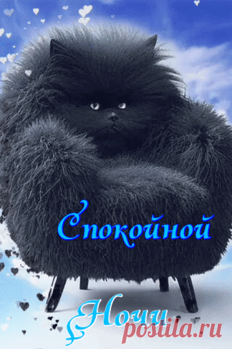 Спокойной ночи