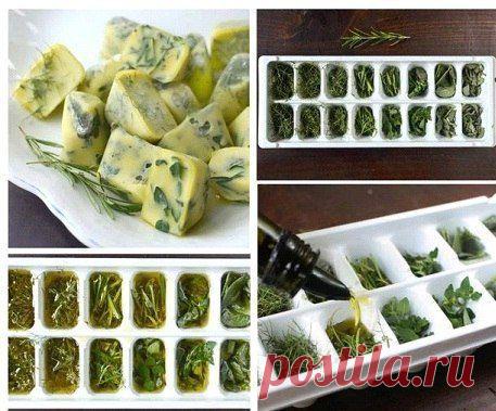 Как сохранить свежую зелень? | Семья и дом