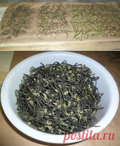 Папоротник орляк - сушка.