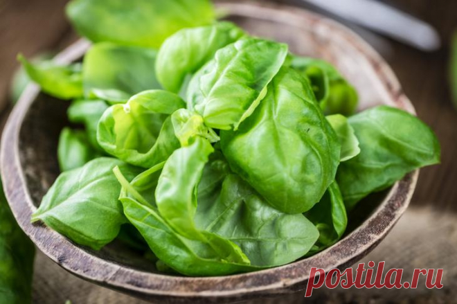 Всем нам необходимо знать - о хранении пищевых продуктов