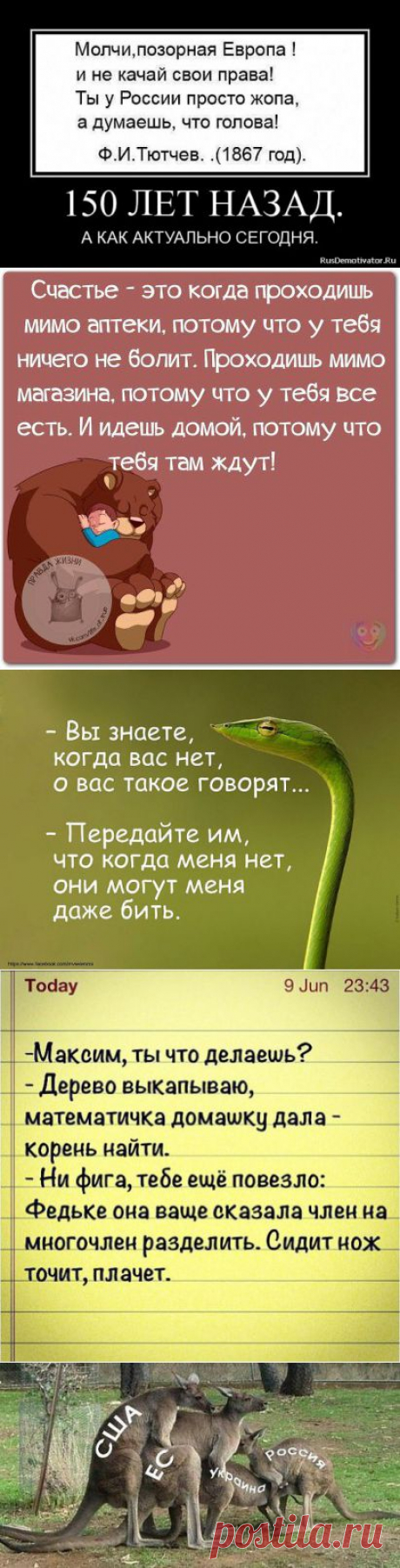 (3) Одноклассники
