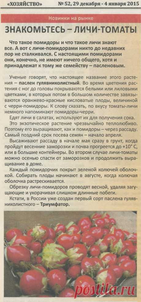 Личи-томаты