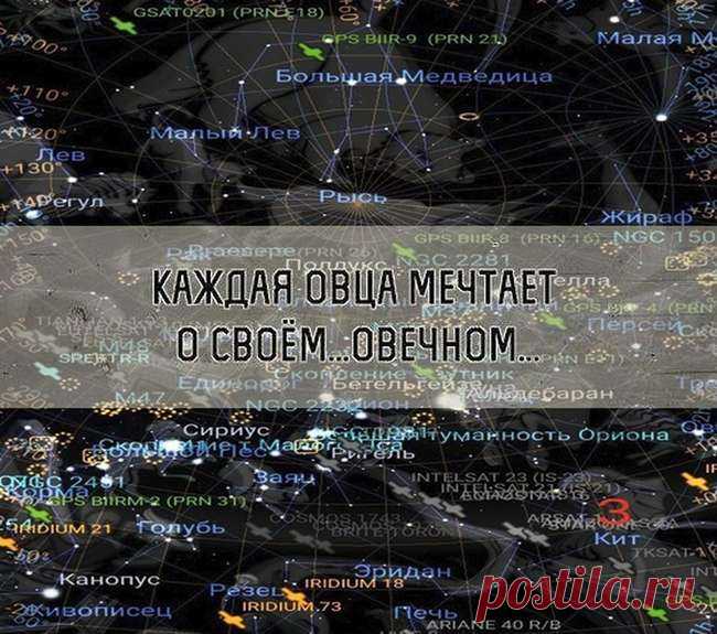 45 умных и забавных мыслей для понедельника . Тут забавно !!!