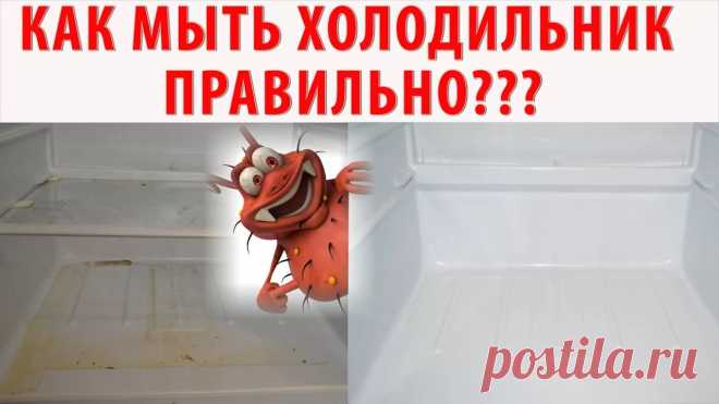 Как помыть холодильник внутри - Журнал полезных советов