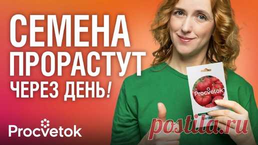 Взойдут любые семена, если знать секрет! Тест 12 методов обеззараживания и улучшения всхожести семян | Procvetok | Дзен