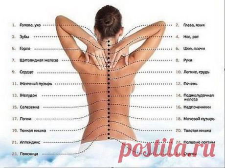 Одноклассники
