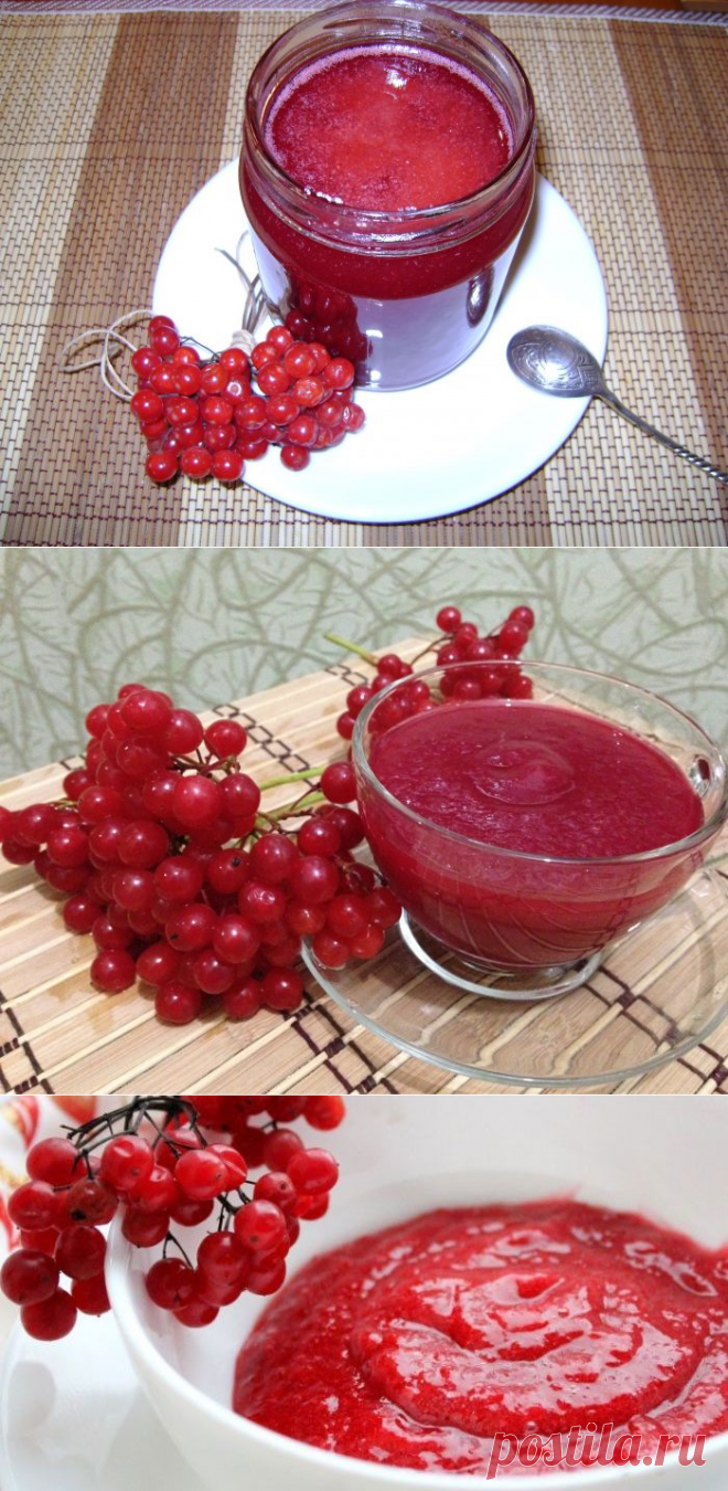 Калина красная — полезные свойства, заготовка на зиму и способы приготовления: лучшие рецепты. Варенье из калины на зиму: польза и вред, рецепты