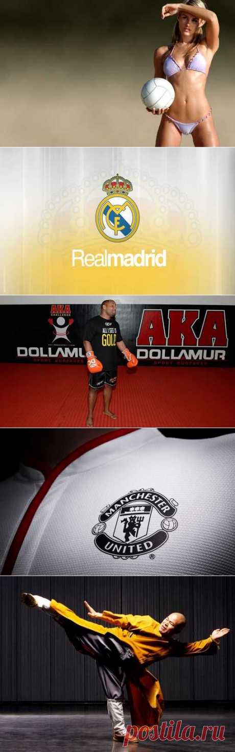 Бокс французский, Крокет, Бобслей, Софтбол. (1/1) - Спортивный форум. - Спортивный сайт