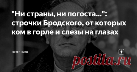 "Ни страны, ни погоста...": строчки Бродского, от которых ком в горле и слезы на глазах Это стихотворение Бродского стало настолько популярным еще при жизни поэта, что родилась шутка:
- Вы не знаете, где сейчас живет Иосиф Александрович?
- Где живет - не знаю. Но умирать ходит на Васильевский остров.
Среди стихотворений о любви, о ее наваждении и надеждах на светлое будущее, такие строки выделяются своей мрачностью и депрессивностью. Но, нужно признаться, все мы порой задумываемся о