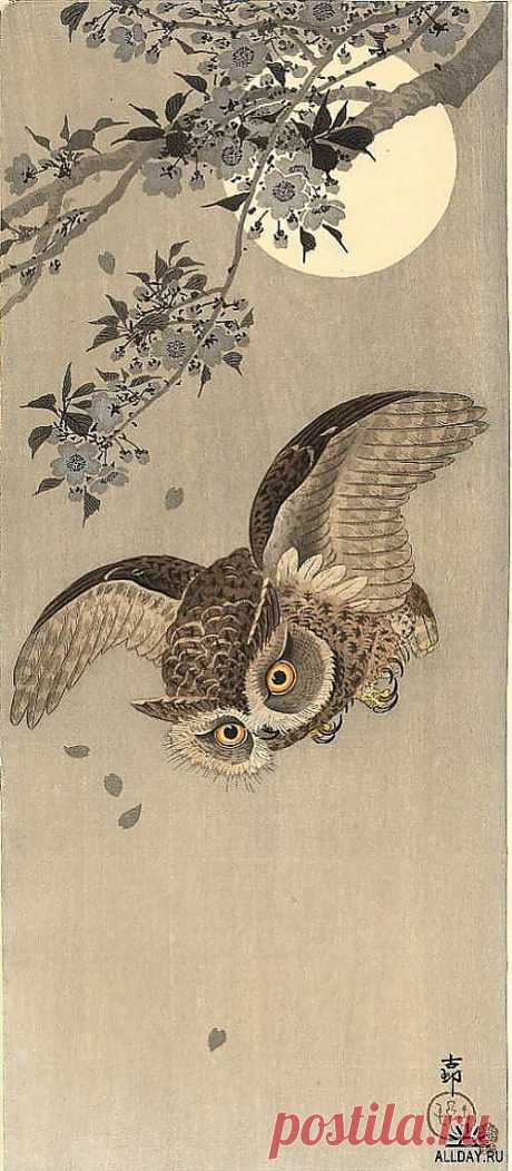 Японская живопись Художник Koson (Naga Oban) » ALLDAY - народный сайт о дизайне | postila.ru/Юра%20Вахрушев