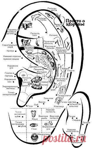 ДИАГНОСТИКА БОЛЕЗНЕЙ ПО УШАМ