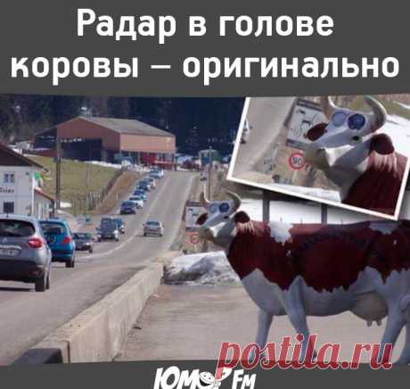 #радар #юморфм