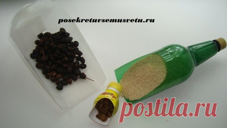 Как сделать совок для сбора черники из бутылки