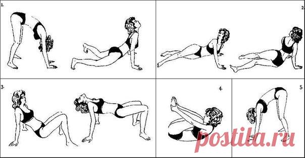 Пять упражнений Поля Брегга для восстановления позвоночника

Поль Брэгг утверждает, что нарушения функции позвоночника поддаются восстановлению, практически в любом возрасте. Были разработаны 5 упражнений Поля Брэгга, которые легки и просты в выполнении.
Единственное условие, которое необходимо строго соблюдать, - это выполнение комплекса упражнений в комплексе.

Если человек станет подобным образом заботиться о своем позвоночнике, то и в 70—80 лет он будет здоров, энергич...