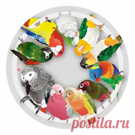 Bird Acrylic Coaster – Sweet Birdie Boutique (International)
