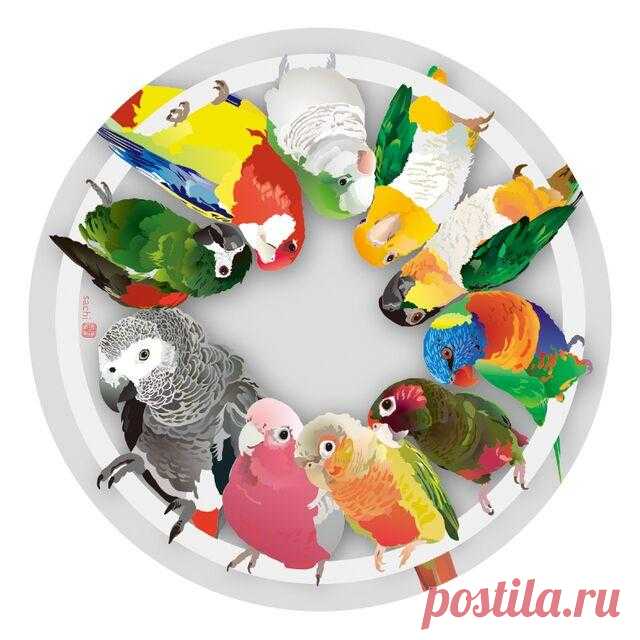 Bird Acrylic Coaster – Sweet Birdie Boutique (International)