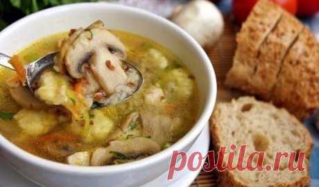 Гречневый суп с грибами и картофельными клёцками

Еще один вкусный супчик с грибами, а клецки получились очень нежными... и все вместе просто супер!

Понадобится:

куриная грудка
2,5-3 литра воды
250 гр. шампиньонов
1\2 стакана гречки 1 луковица
1 небольшая морковь
лук порей
1 лавровый лист
зелень петрушки по вкусу
соль по вкусу

Для клёцек:
2-3 картофеля небольших
1 яйцо
3-4 ст. ложки муки
щепотка соли

Приготовление:

Куриную грудку порезать на кусочки, залить водой, пос...