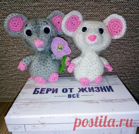 Мои мышки.