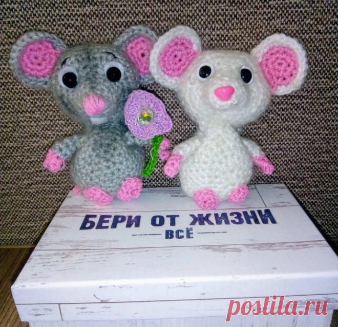 Мои мышки.