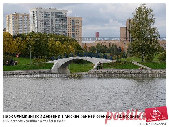 Парк Олимпийской деревни в Москве ранней осенью. Пешеходный мост через протоку между прудами. (2016 год) Редакционное фото, фотограф Анастасия Усанина / Фотобанк Лори