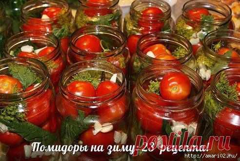 Лучшие рецепты консервирования помидор.