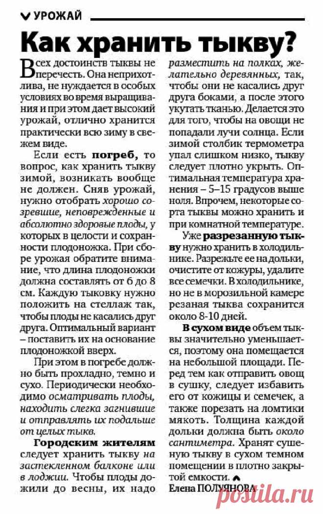 Как хранить тыкву