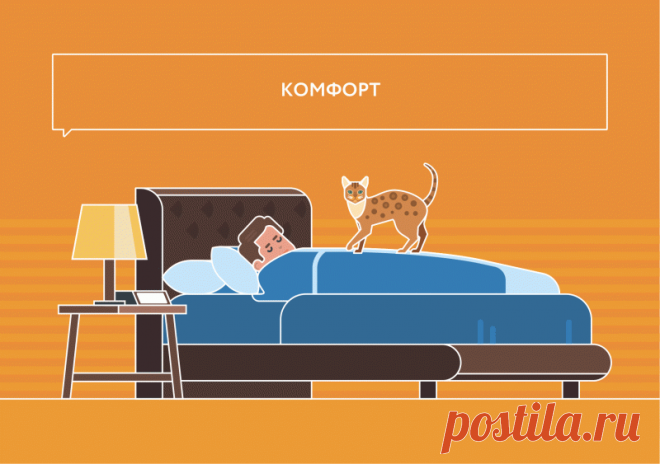 Как понять кошачий язык, чтобы знать что хочет кот - Petstory