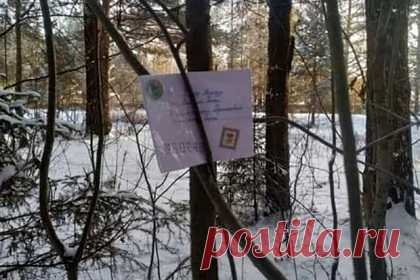Дед Мороз исполнил мечту оставившей письмо в лесу девочки. Дед Мороз исполнил мечту восьмилетней жительницы Перми Глафиры Р., которая оставила написанное новогоднему волшебнику письмо в лесу. Там его нашли прохожие, выложили текст послания в соцсети и привлекли внимание Деда Мороза. Мать девочки Яна Родионова рассказала, что относить новогоднюю почту в лес — это традиция.