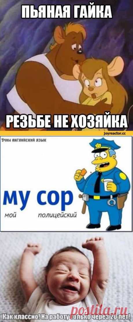 Прикольные картинки в пятницу (43 шт)
