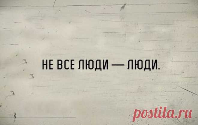 В точку! Шедевральная коллекция