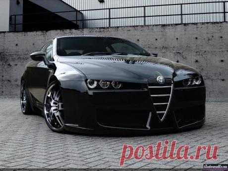 :: alfa romeo ::