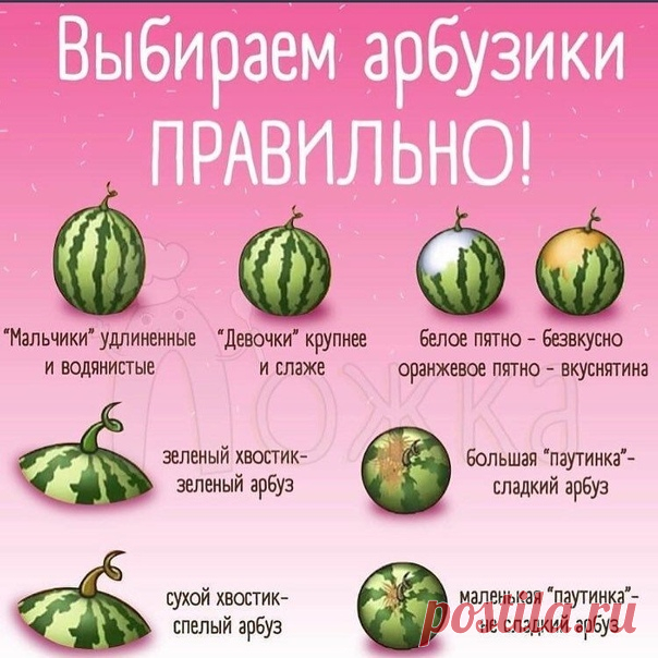 Выбираем самый вкусный арбузик