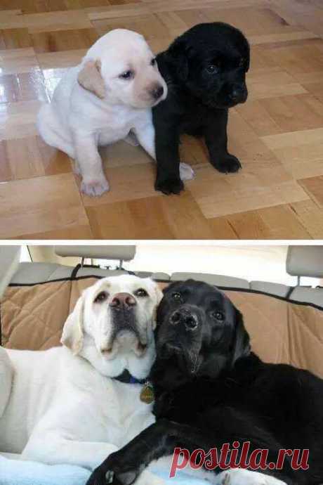 (92) Facebook