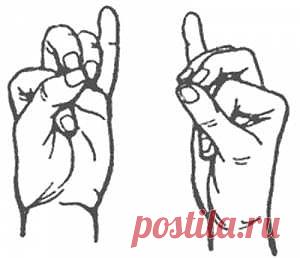 Сердечные заболвания  - Каталог статей - Мензурка