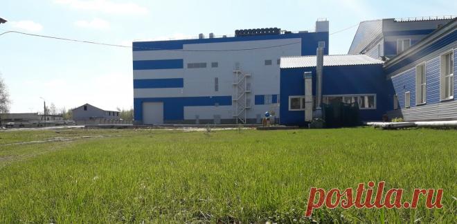 Руководство завода беднее рабочих? | North Wind | Яндекс Дзен