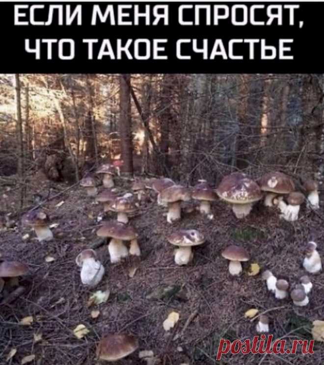 Выпуск №6415 - выпуск анекдотов сайта вокруг смеха