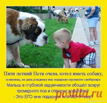 КОГО КОМУ ПОДАРИЛИ...