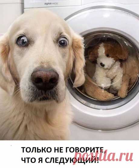 шутки в сторону!