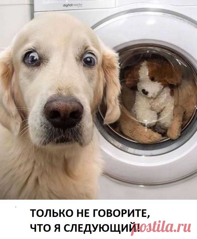 шутки в сторону!