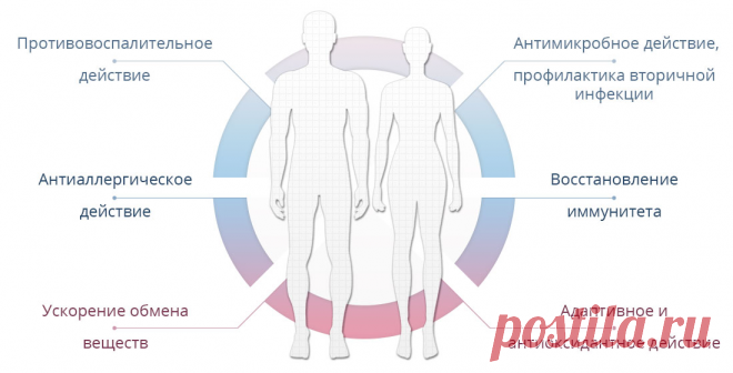 АСД 2Ф — фракция 2 для человека: что лечит и из чего состоит, отзывы людей и врачей о препарате