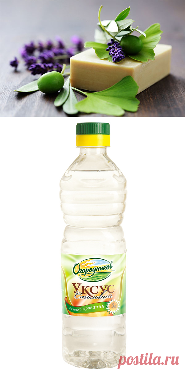 Забудь о дорогой и вредной бытовой химии! эти 10 простых средств заменят ее навсегда. | ПОЛЕЗНЫЕ НОВОСТИ